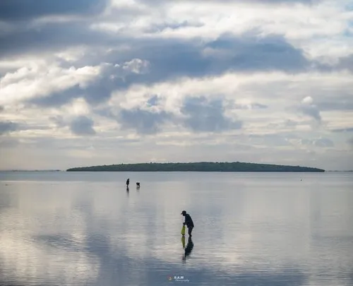 Fishermen collecting crustaceans in low tide sea at Mahebourg