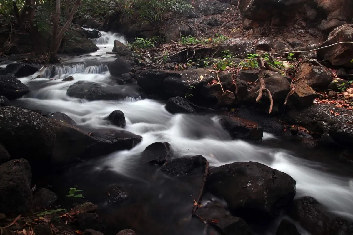 Long exposure of a stream flowing through rocky river in Tamarin, Mauritius