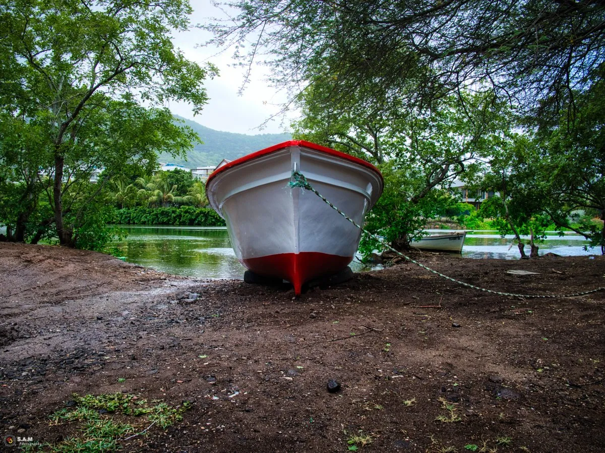 Pirogue tied among trees on the shore at Riviere Noire, Mauritius