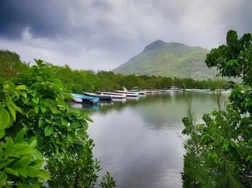 Boats tied in a row in Riviere Noire bay before cyclone