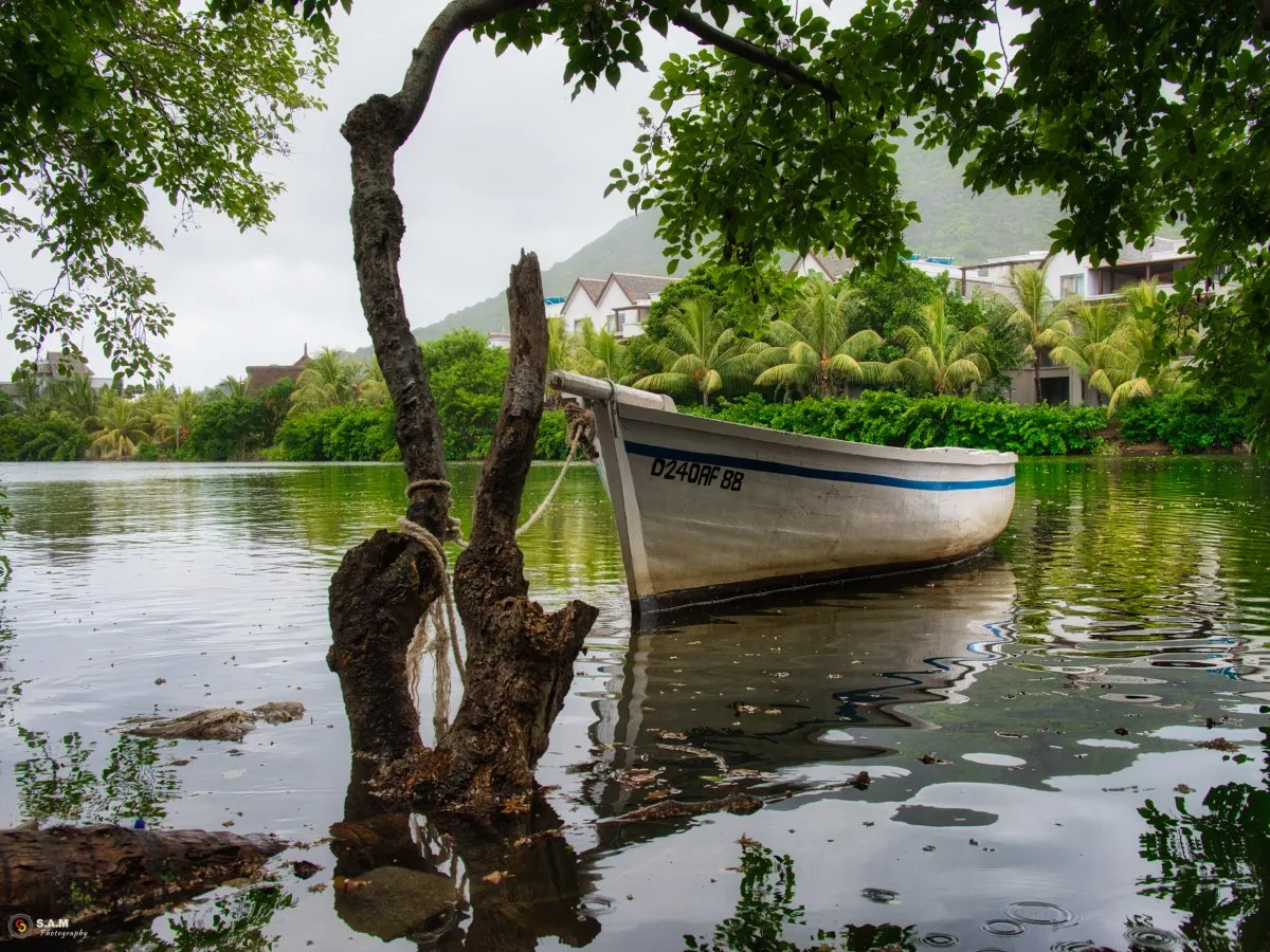 White fishing pirogue tied to a tree in the bay of Rivière Noire, Mauritius with green water reflections