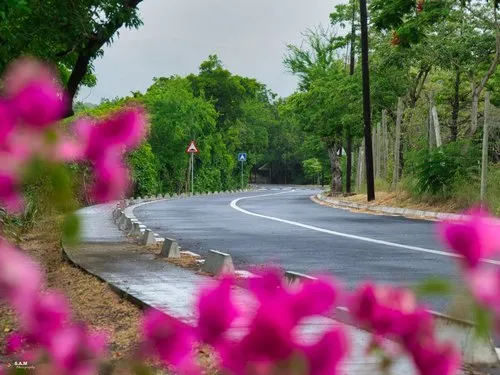 Scenic road of Riviere Noire after rain