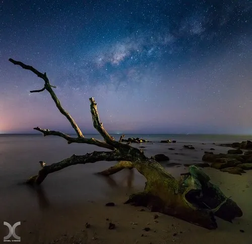 Milky Way over sea driftwood at Tamarin