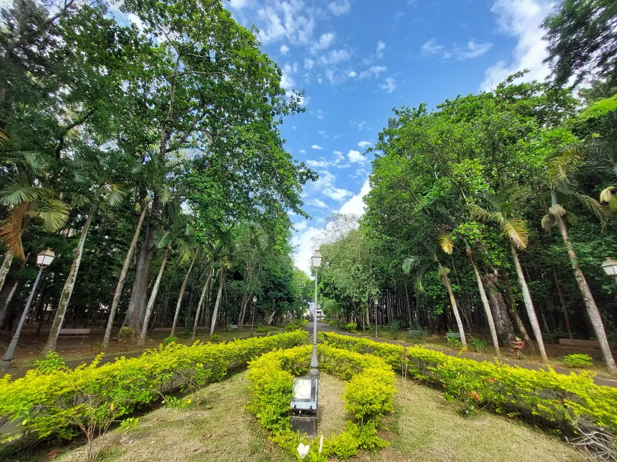 Garden of Mahebourg Naval Museum with large, centuries-old trees in Mauritius