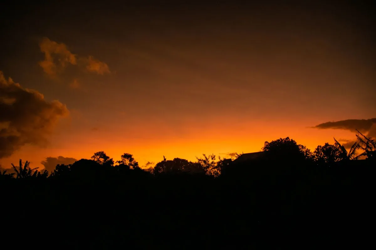 Silhouette of natural landscape under an orange sunset sky in Mauritius