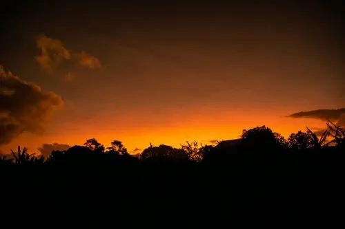 Silhouette of nature & orange sky after sunset