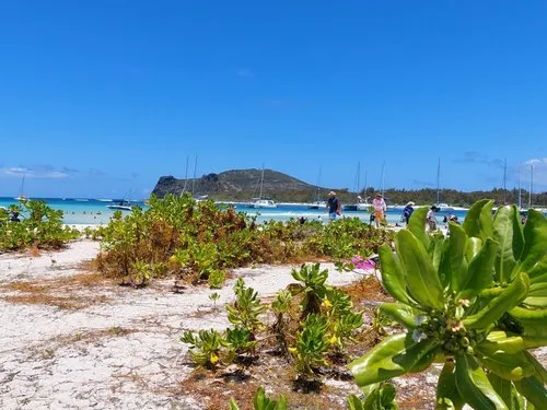 The wild beach of Gabriel Island covered with plants