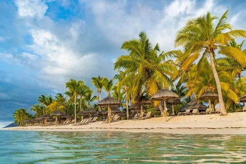 Seashore with Coconut trees on paradise beach