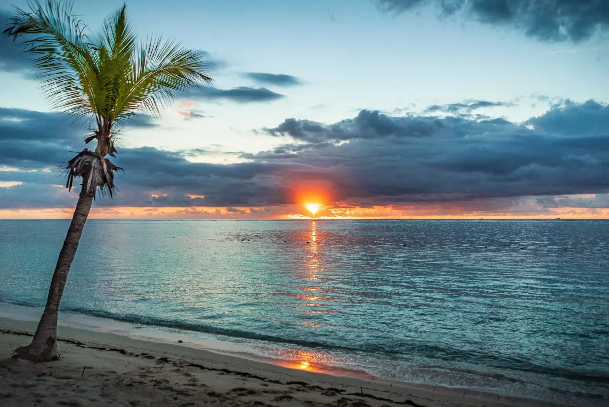 Single palm tree with reddish sunset and dark grey clouds on a beach in Mauritius
