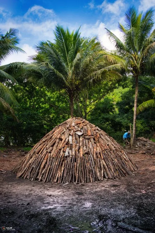 Traditional charcoal production site in Mauritius