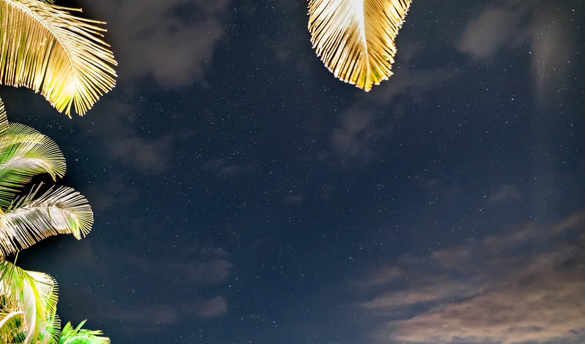 Starry night sky over palm trees at Le Paradis Beachcomber hotel in Mauritius