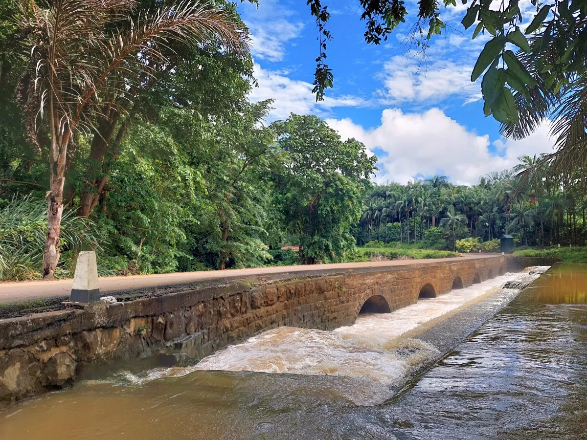 Forest bridge over a flowing river in Riche En Eau village, Mauritius surrounded by lush greenery