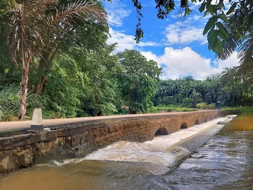Forest bridge & river at Riche en Eau village