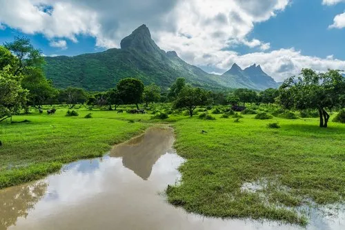 Rempart mountain reflection in stream at Casela