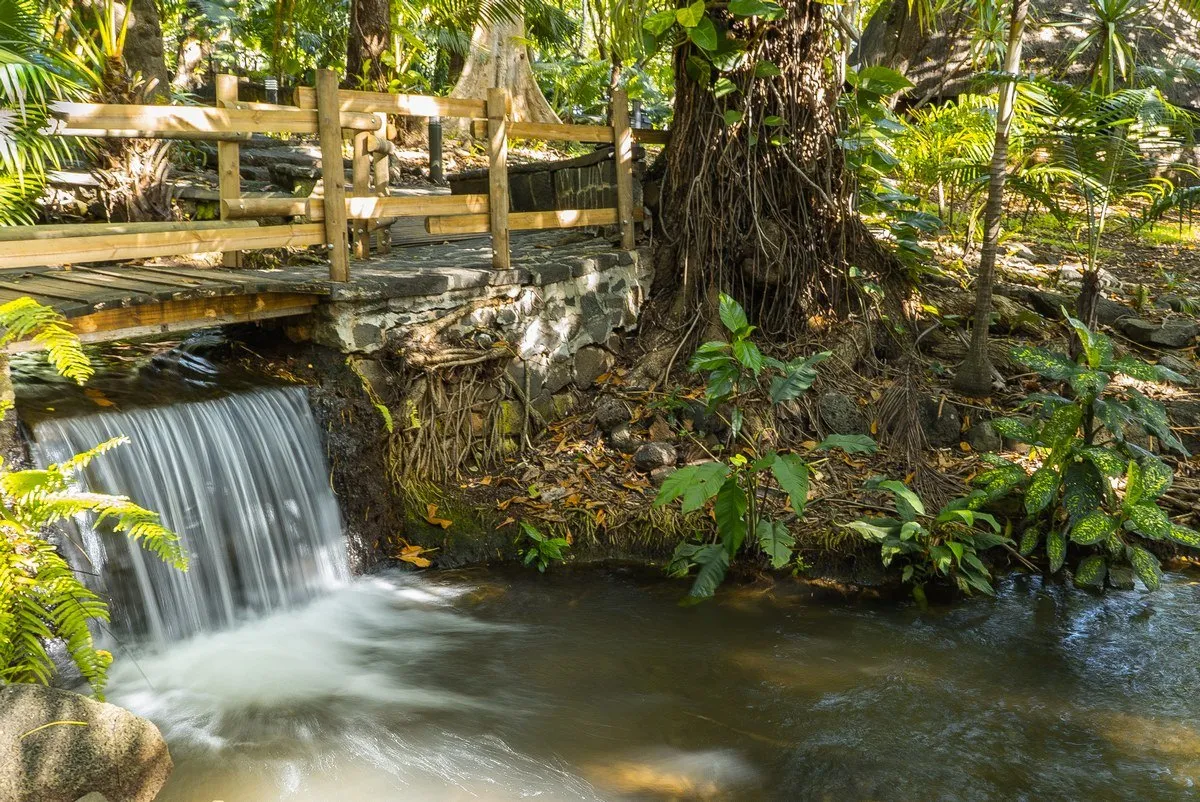 Artificial waterfall under wooden pathway at Casela Garden in Mauritius surrounded by lush plants