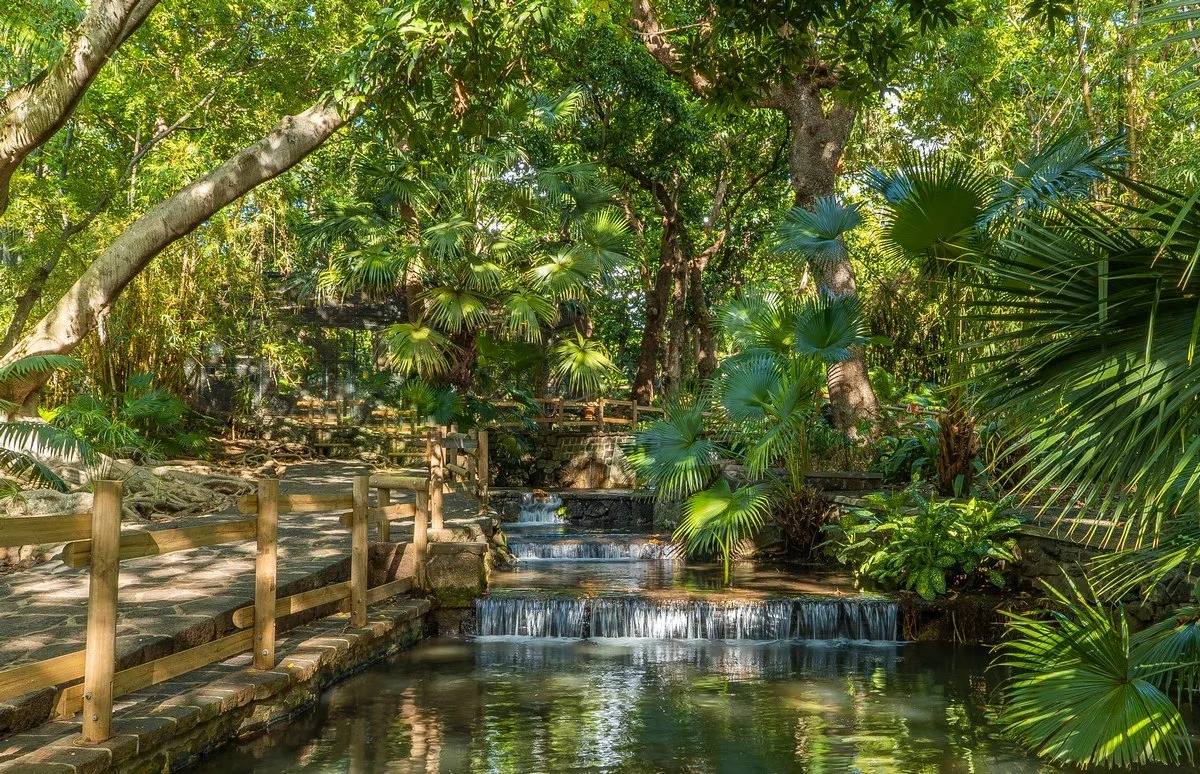 Multi-step cascading waterfalls surrounded by lush trees and plants at Casela Nature Park in Mauritius