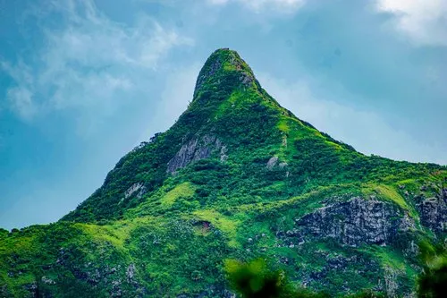 Close up of Le Pouce Mountain covered with green vegetation