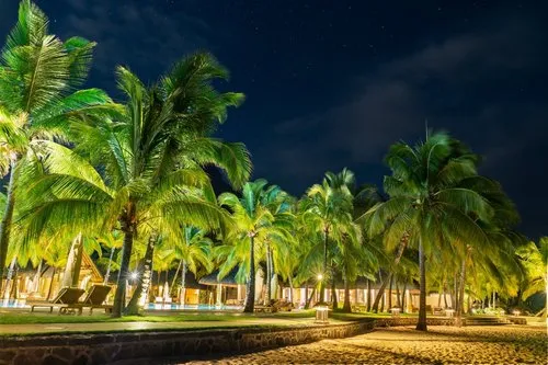 Hotel Palm trees illuminated at night on the beach