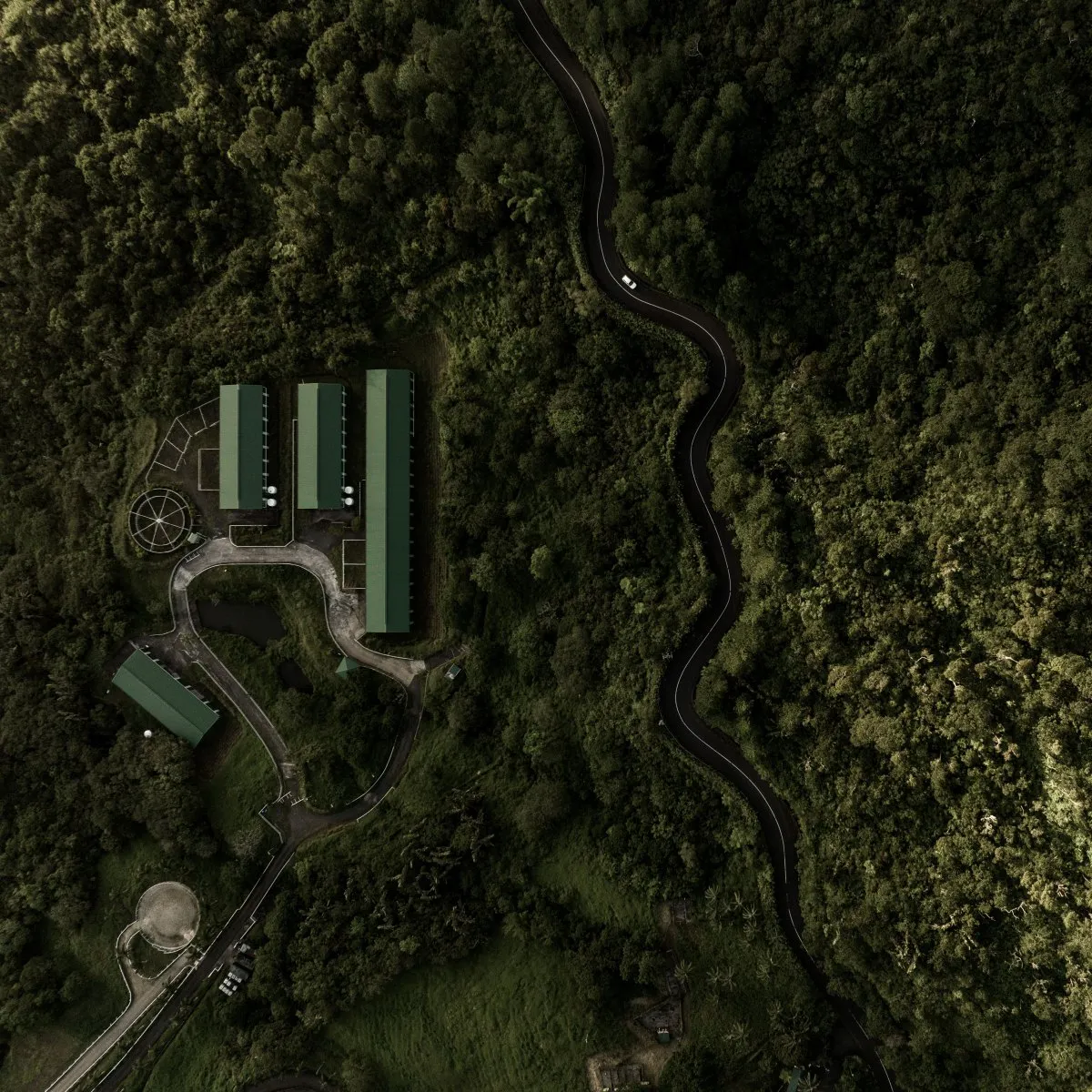 Aerial view of the zigzag Chamarel road with a white car and green forest in Mauritius