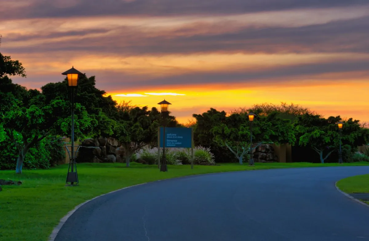 Golden sunset over Tamarina Estate road lined with trees and lamp posts in Mauritius