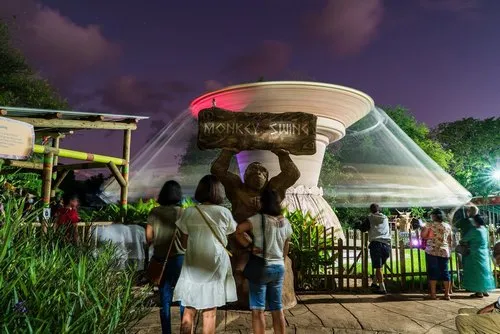 The Monkey swing at Casela park at night