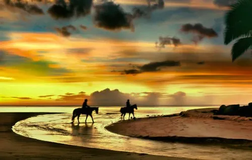 Horse Riding at Sunset in Tamarin