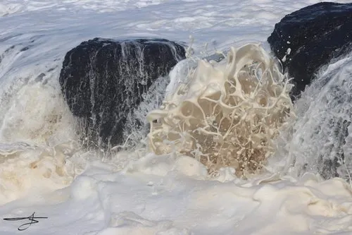 Organic art waves