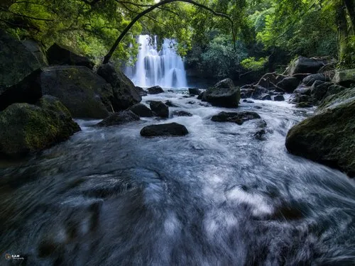 Eau bleu waterfall surrounded by vegetation