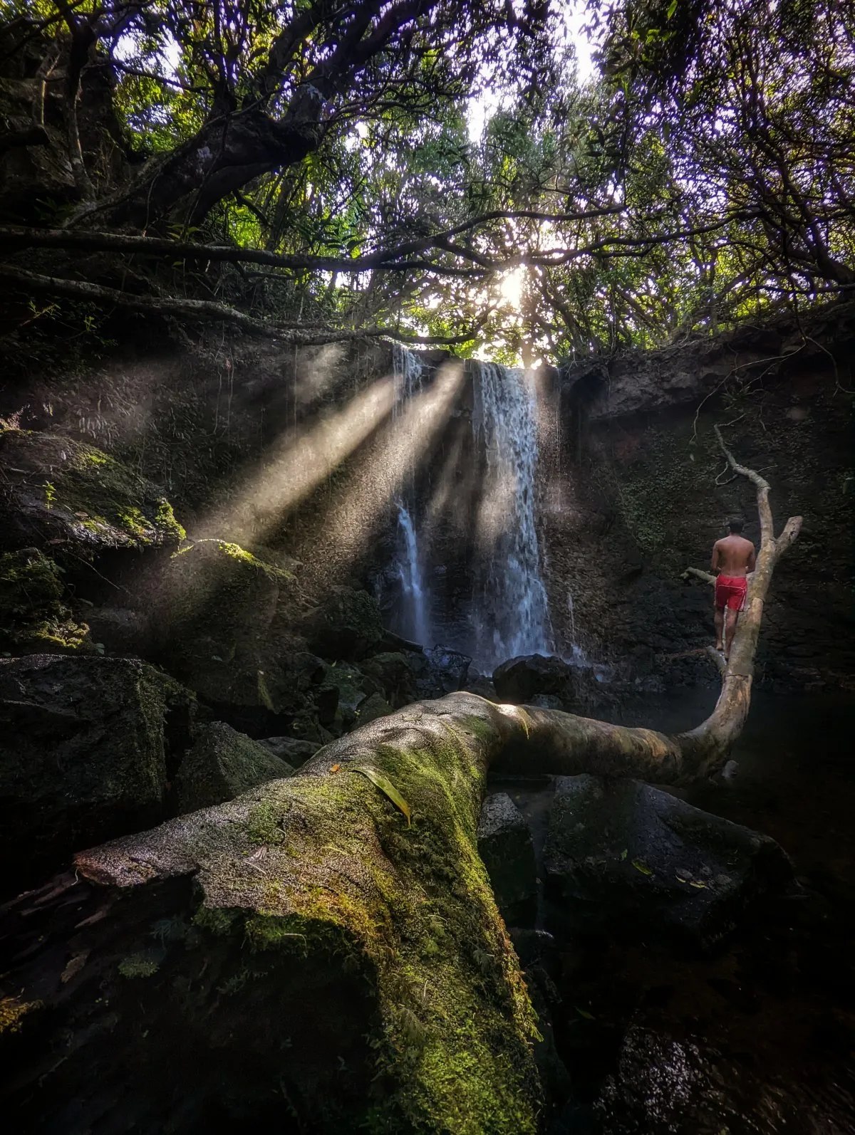 Sun rays shining over Massimo Waterfall in a lush, deep forest in Mauritius with a man looking up.
