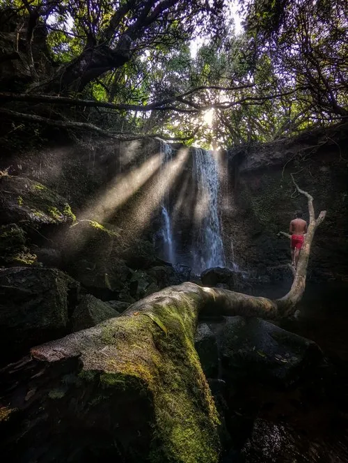 Sun rays reaching waterfall in deep forest
