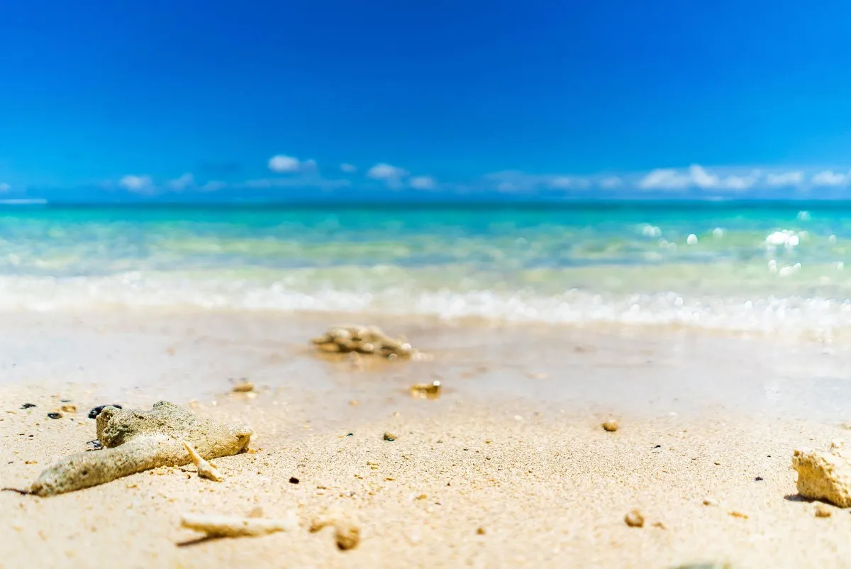 Close-up of broken coral pieces scattered on a quiet Mauritius beach