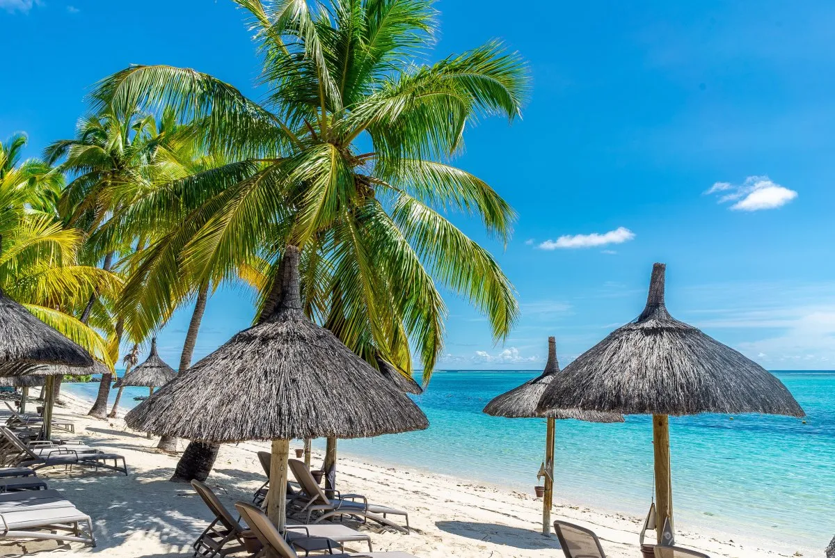 Turquoise sea and thatched umbrellas at Le Paradis Luxury Resort beach in Mauritius with trees