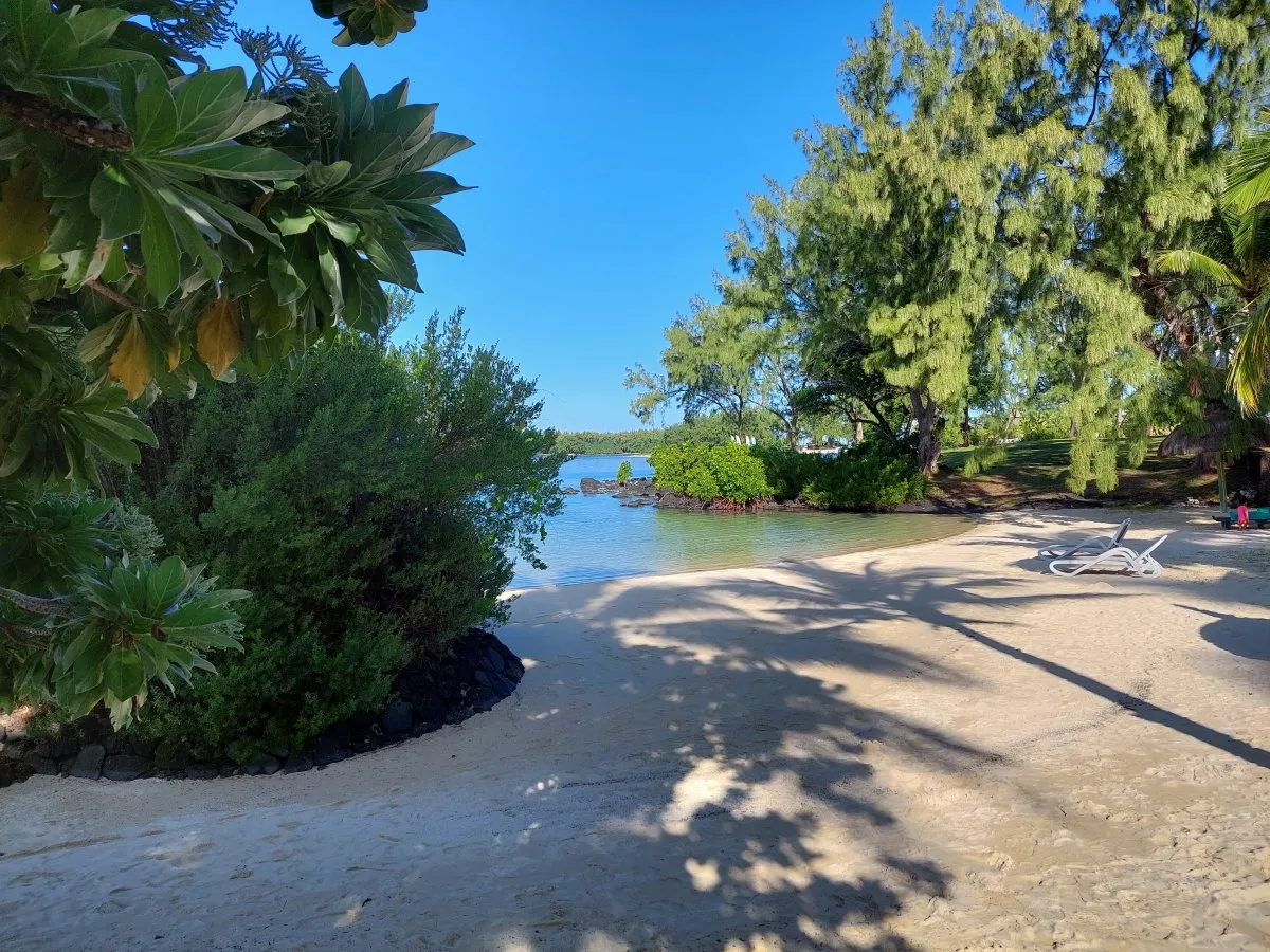 Secluded private beach with trees in Mauritius offering a serene and calm coastal view