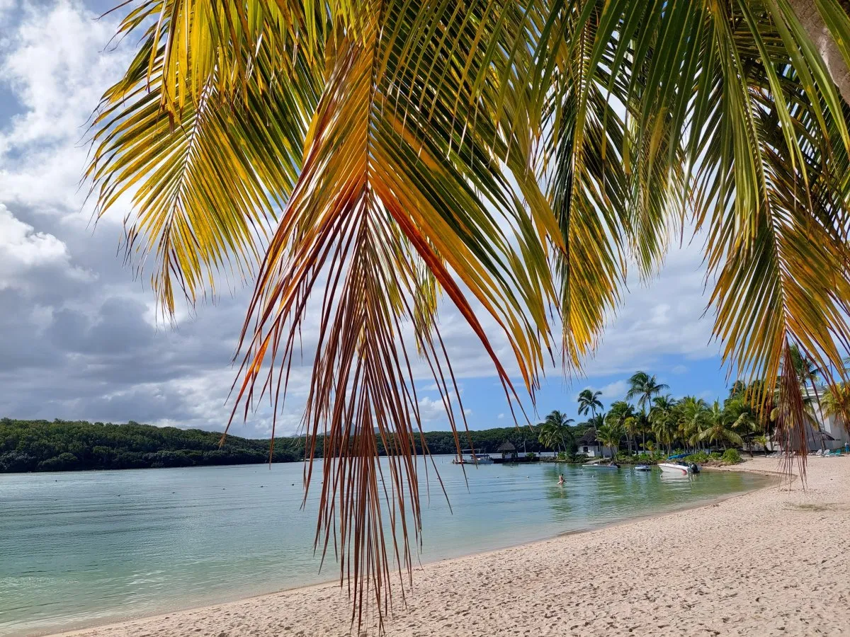 Calm Le Chaland Beach in front of Le Shandrani Resort & Spa in Mauritius with trees and clear water
