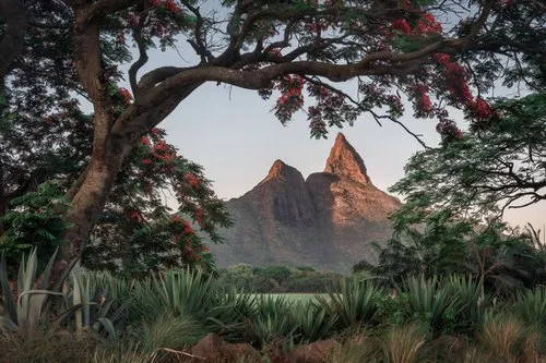 Rempart Mountain with Flamboyant in a fantasy world