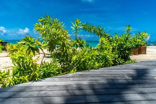 Wooden Decking next to green bush at Constance