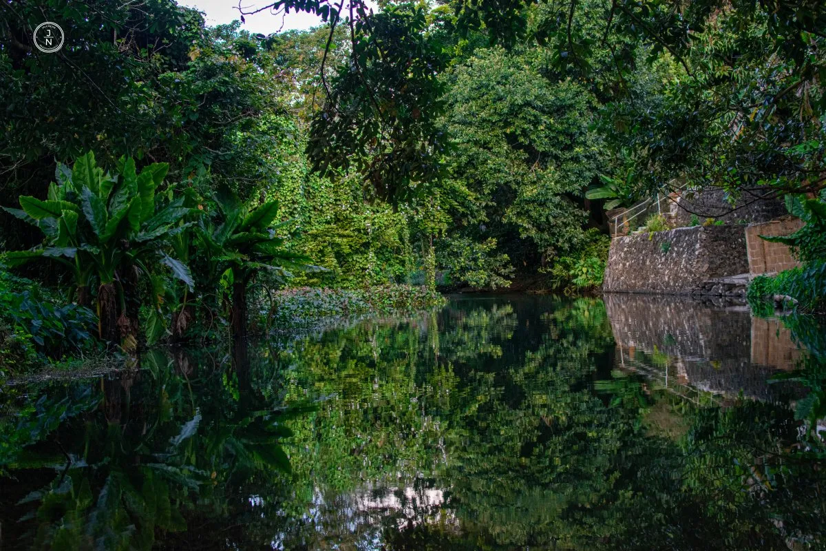 Calm river reflecting dense forest near Le Pouce mountain in St. Pierre, Mauritius