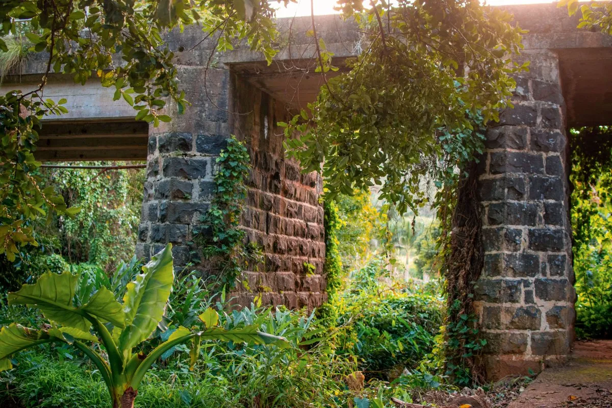 Ancient vintage stone bridge near Le Pouce mountain in Saint Pierre, Mauritius