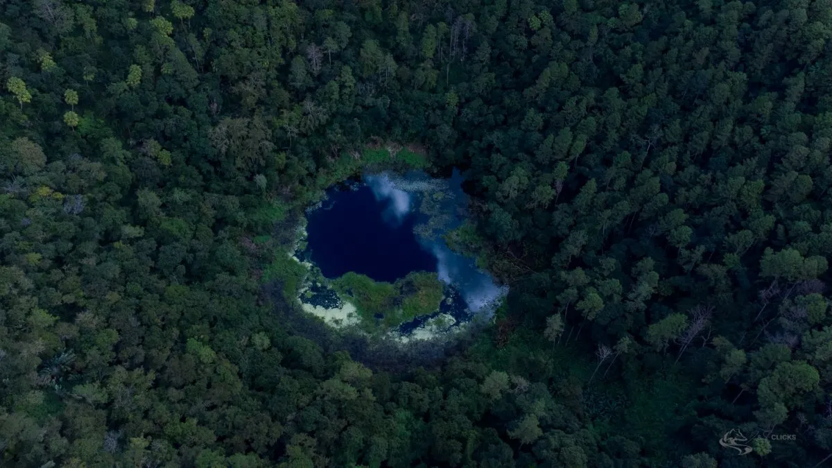 Aerial view of Trou aux Cerfs crater surrounded by dense forest in Mauritius