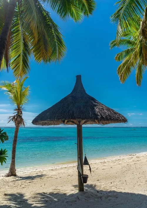 Portrait of lonely thatched umbrella on lost beach