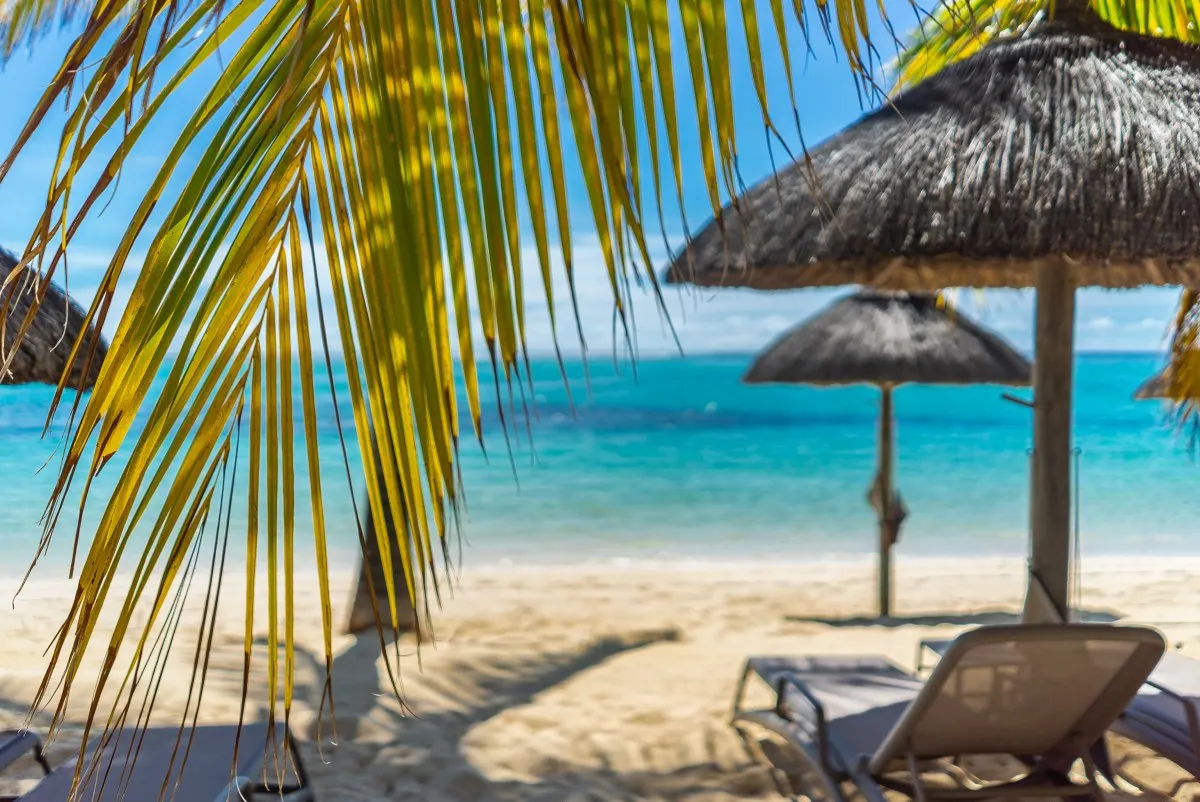 Yellow palm tree and crystal blue ocean at a luxury 5-star beach resort in Mauritius under a straw umbrella