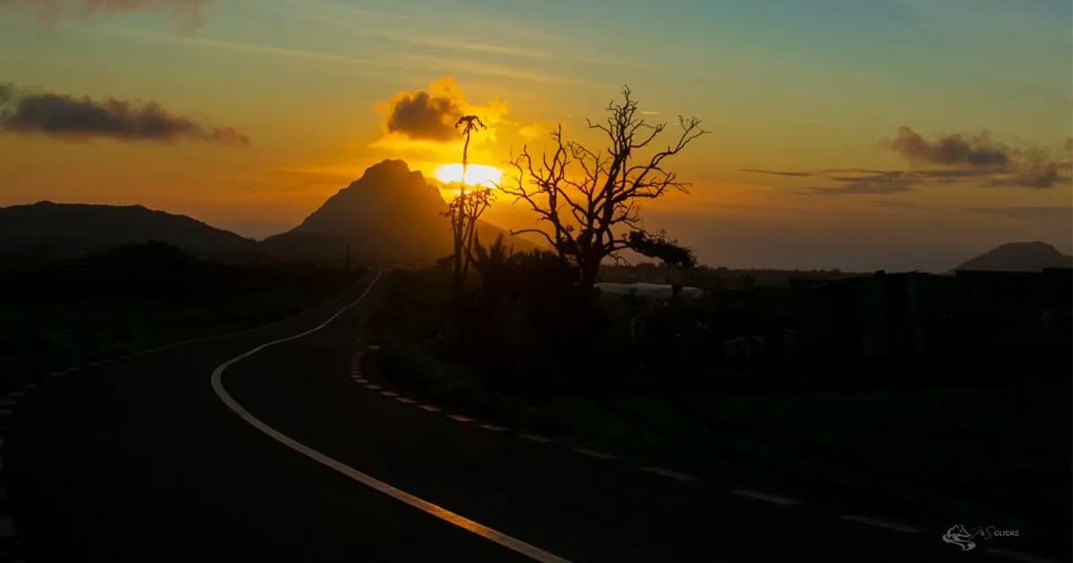 Sunset casting warm hues over a mountain road with a lone tree in Mauritius