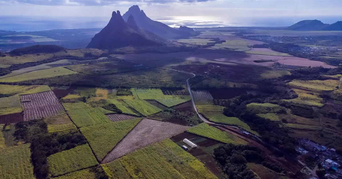Aerial view of the Trois Mamelles Mountains with sugarcane fields in Mauritius