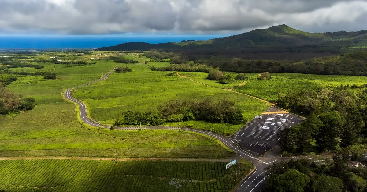 Aerial view of Bois Chéri tea plantation and surrounding mountains in Mauritius