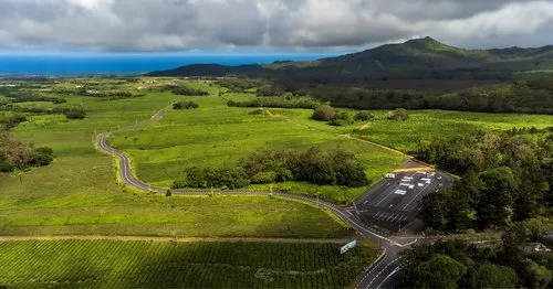 Tea Plantation of Bois Chéri