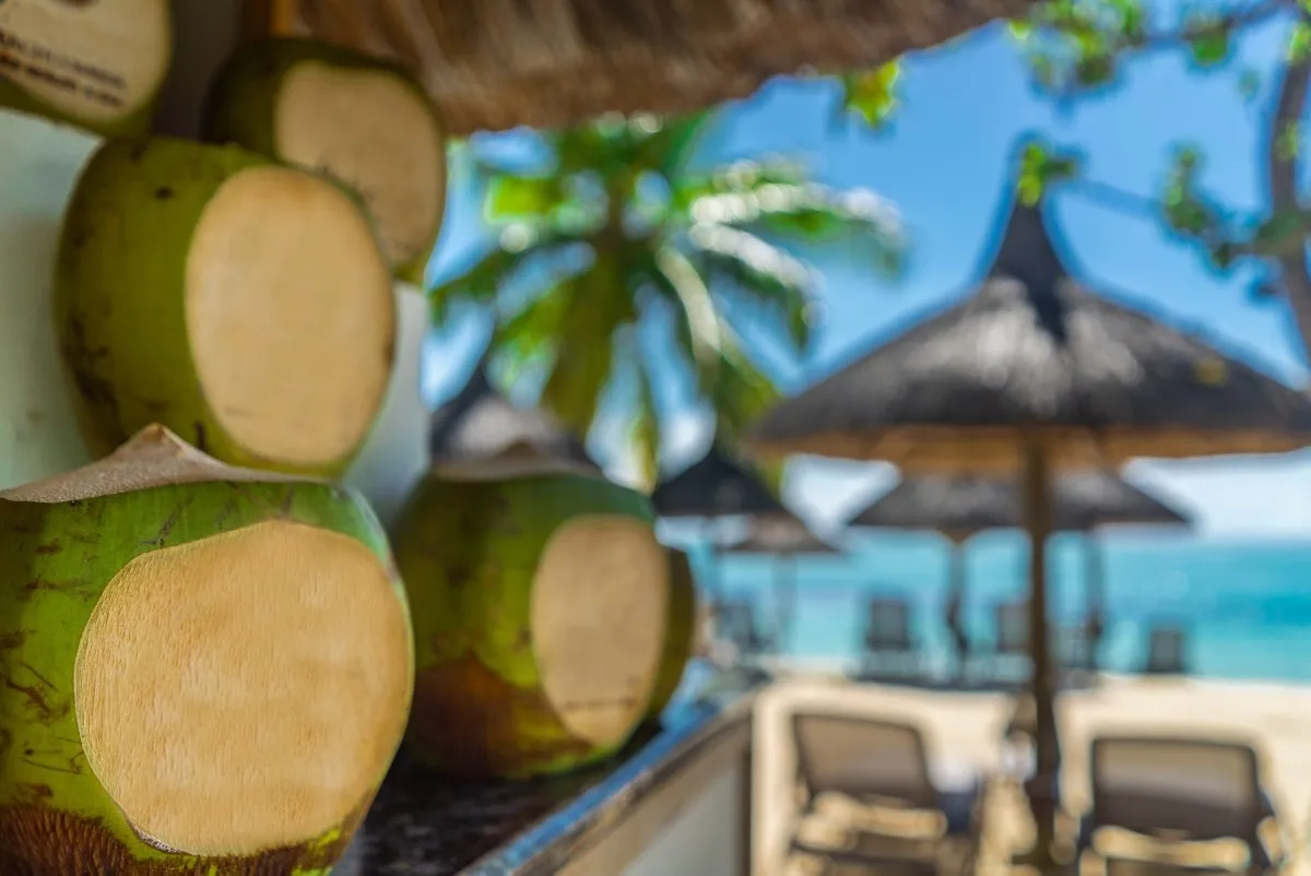 Stack of fresh green coconuts at the beach bar of Le Paradis Beachcomber hotel in Mauritius