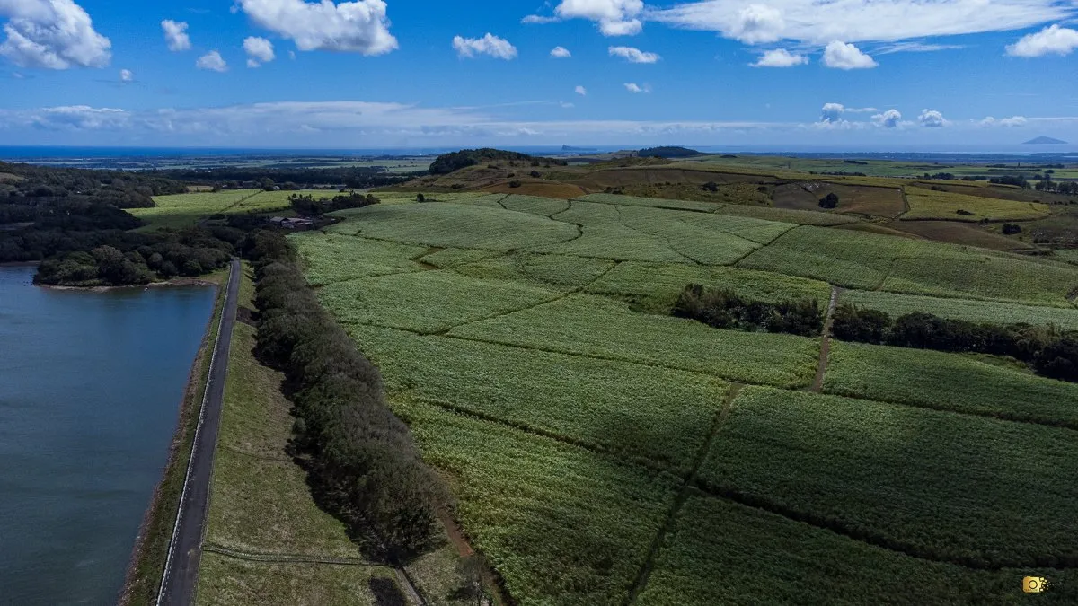 Aerial view of La Nicolière Reservoir with sugarcane fields and distant Coin de Mire and Île Ronde islands in Mauritius