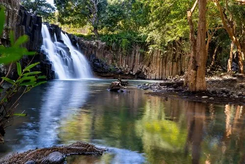 Rochester Falls : A natural curiosity