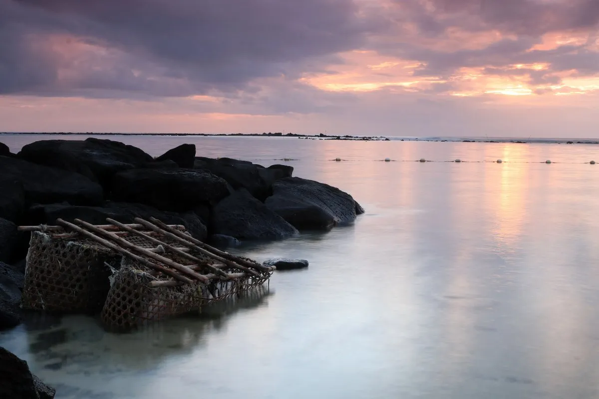 Old fishing trap partly submerged in the calm lagoon of Flic en Flac at sunset, beside coastal rocks in Mauritius.