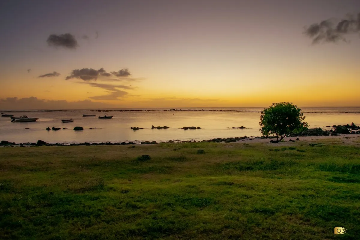 Sunset over Flic en Flac beach with grass, boat, and trees in Mauritius